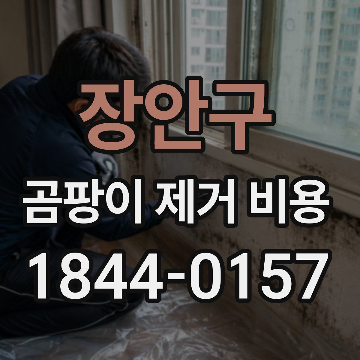 장안구 곰팡이 제거 비용