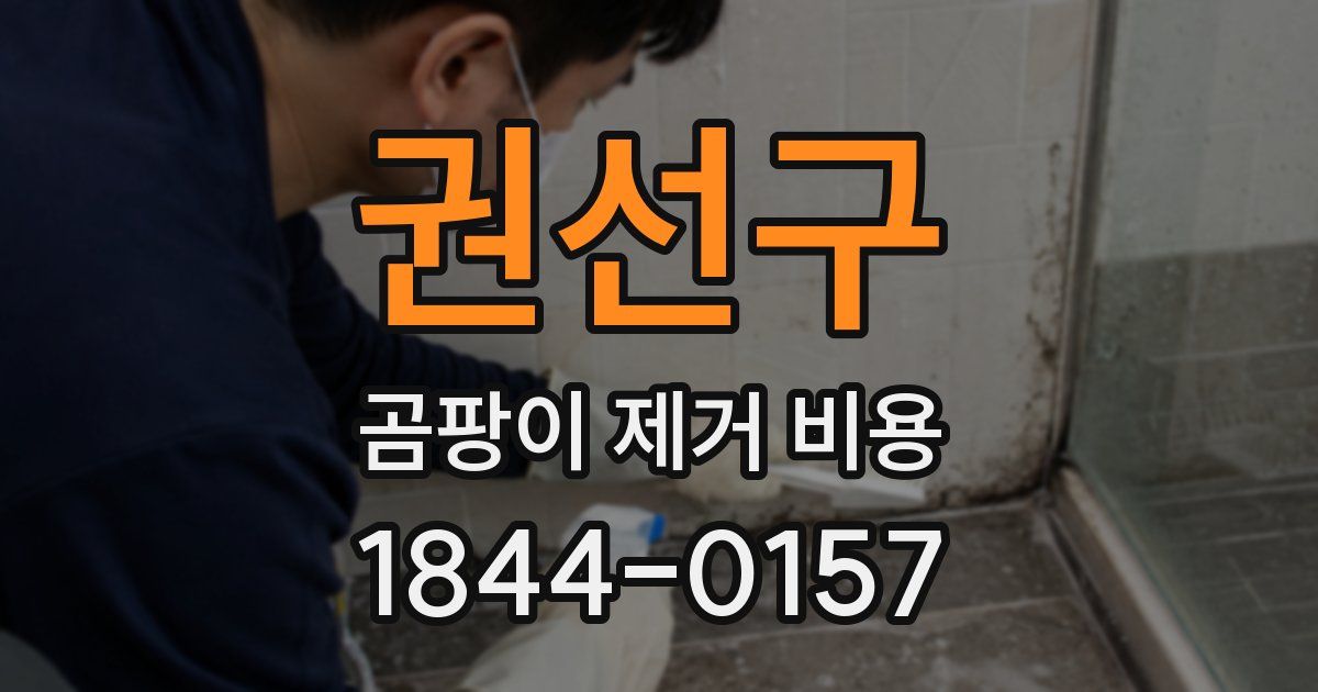 권선구 곰팡이 제거 비용