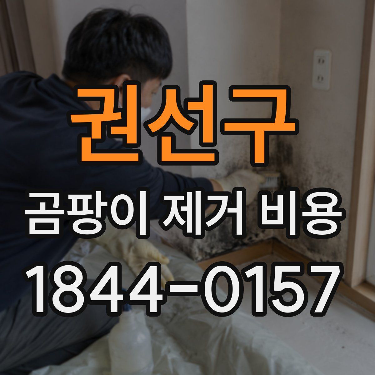 권선구 곰팡이 제거 비용