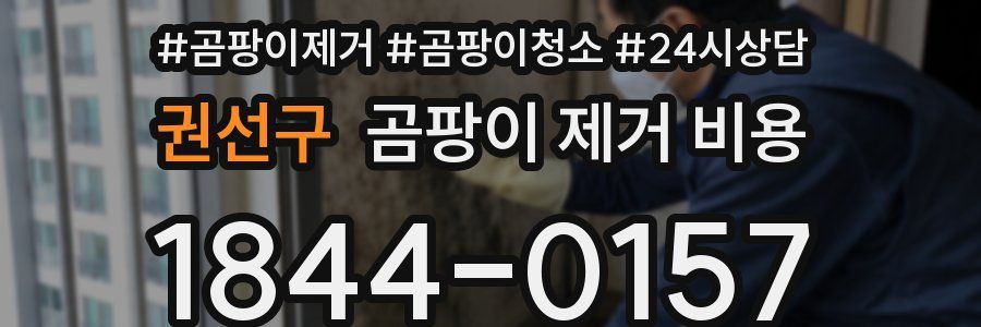 권선구 곰팡이 제거 비용