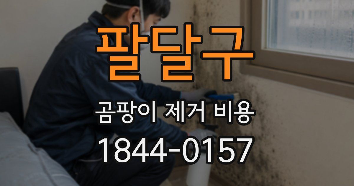 팔달구 곰팡이 제거 비용
