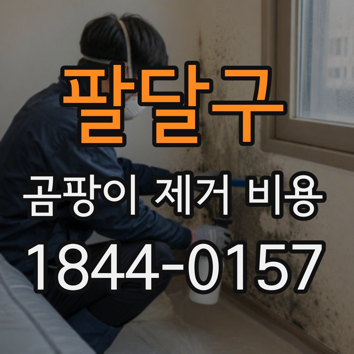 팔달구 곰팡이 제거 비용