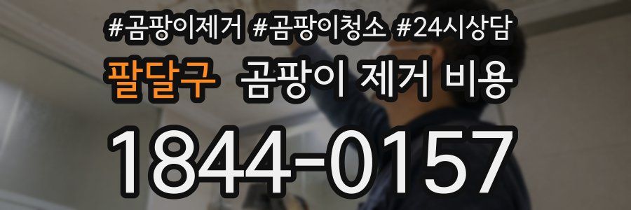 팔달구 곰팡이 제거 비용