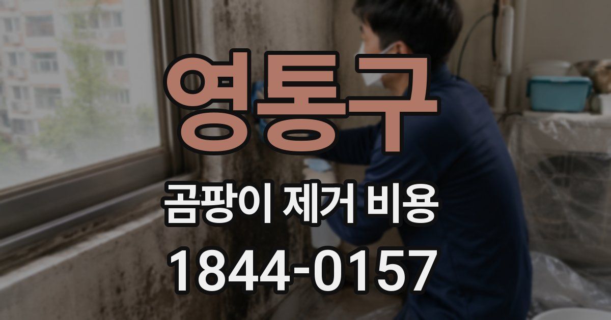 영통구 곰팡이 제거 비용