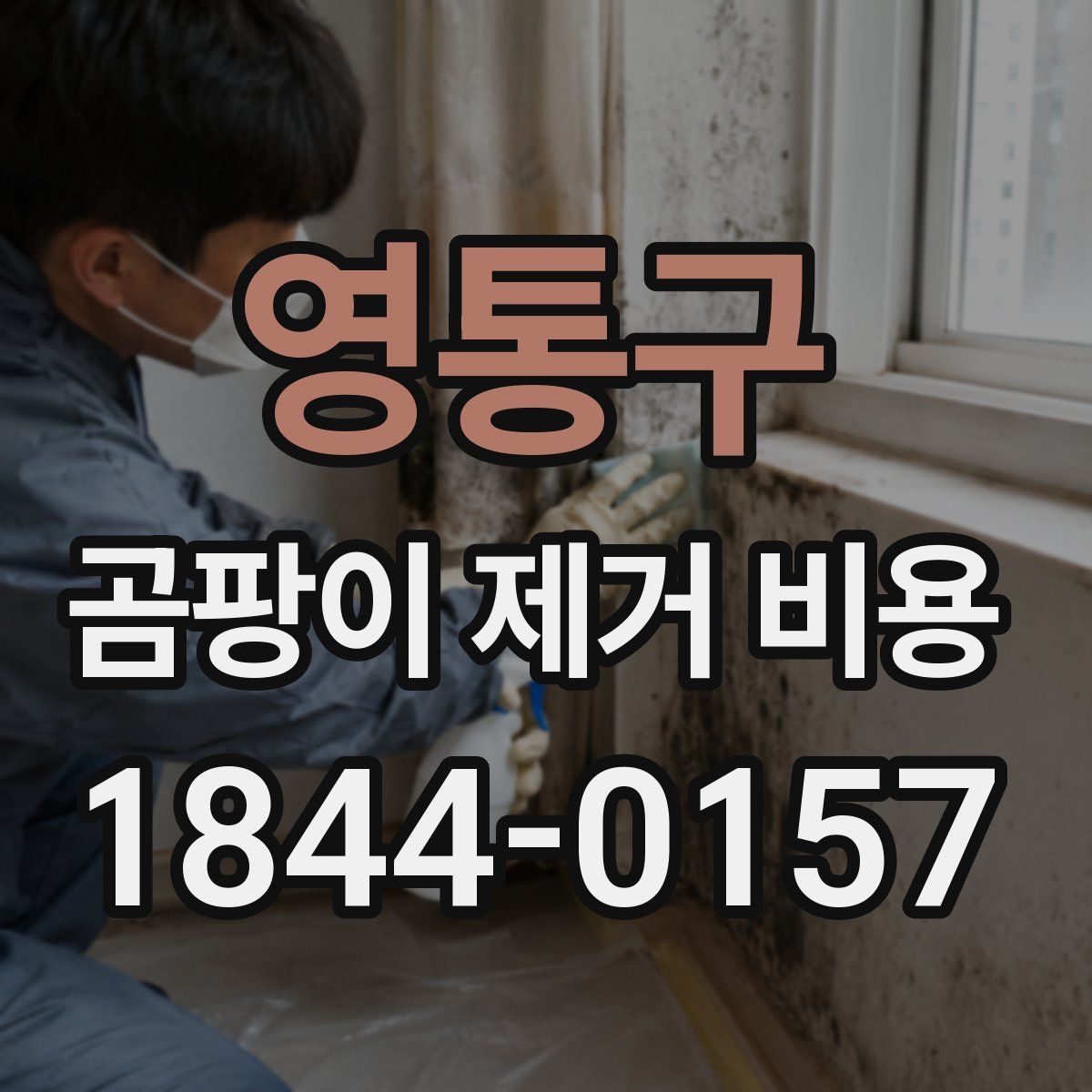 영통구 곰팡이 제거 비용