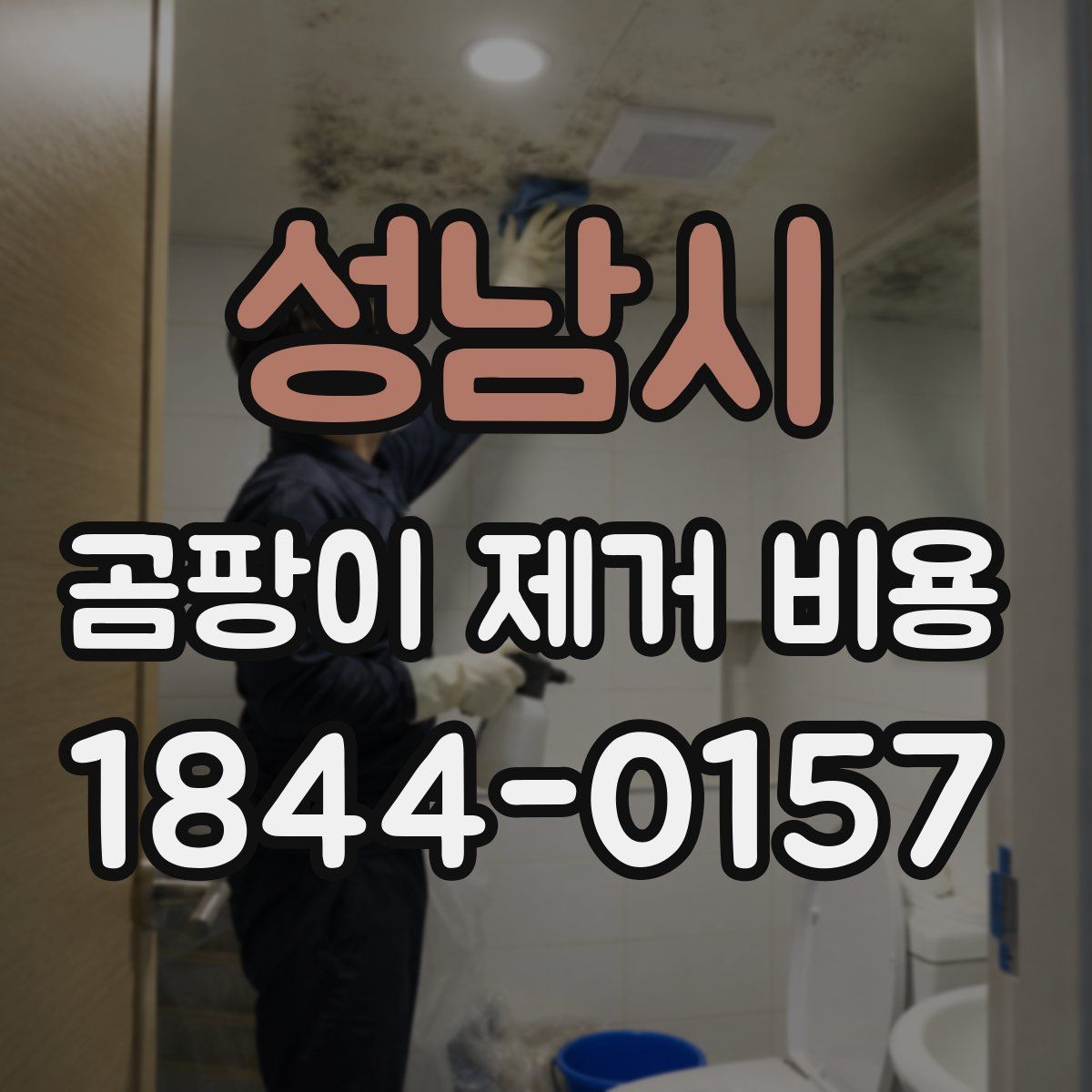 성남시 곰팡이 제거 비용