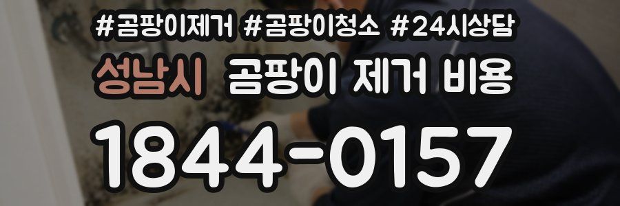 성남시 곰팡이 제거 비용