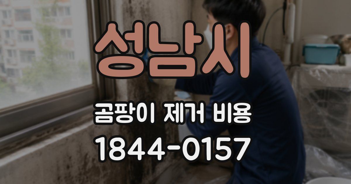 성남시 곰팡이 제거 비용