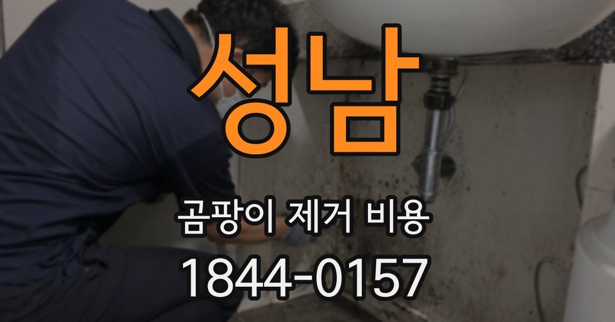 성남 곰팡이 제거 비용