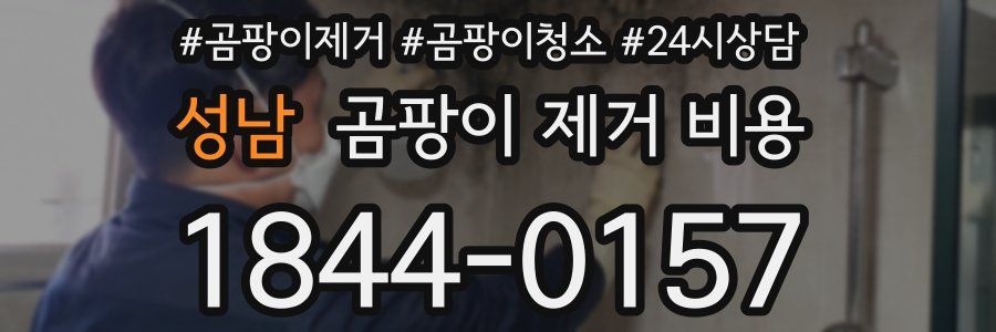 성남 곰팡이 제거 비용