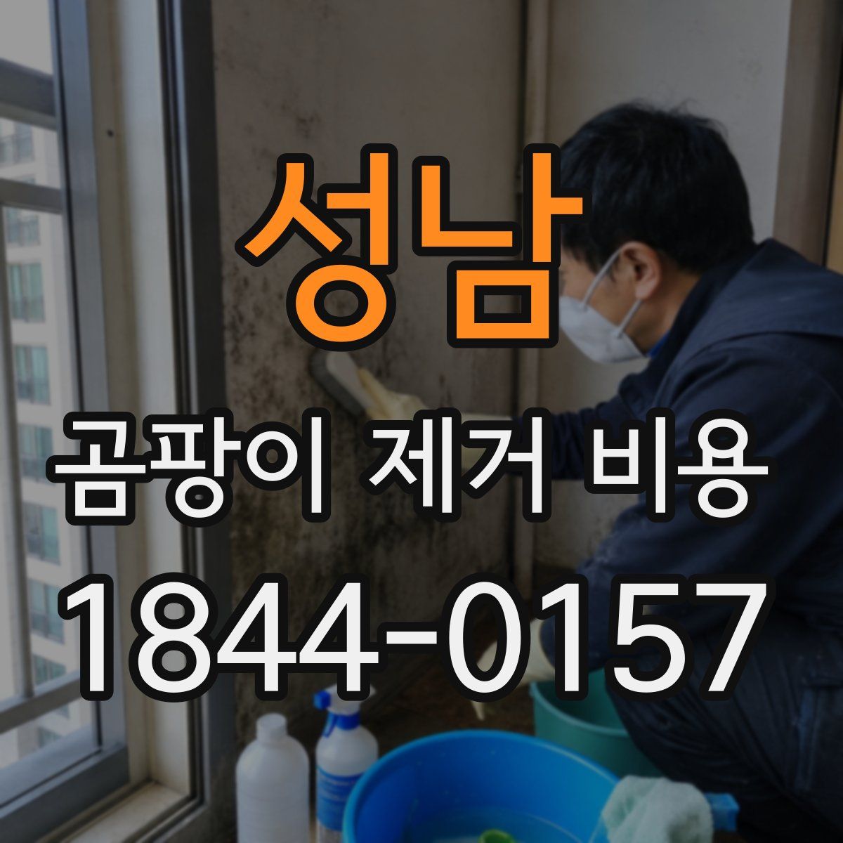 성남 곰팡이 제거 비용
