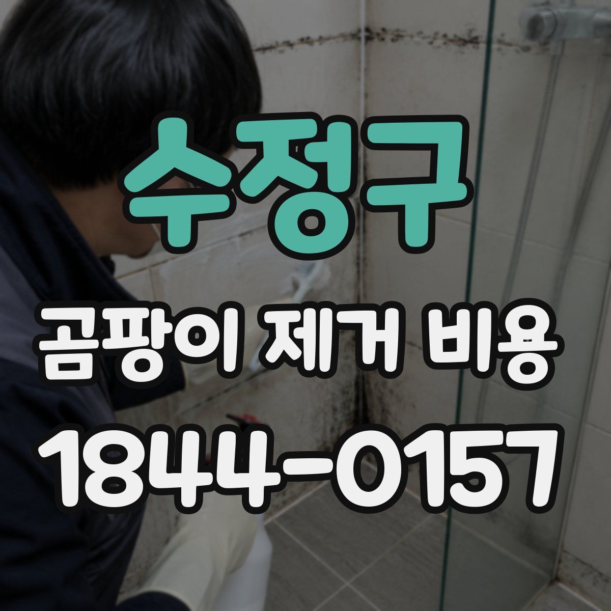 수정구 곰팡이 제거 비용