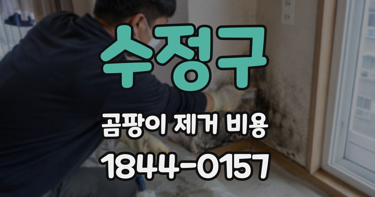 수정구 곰팡이 제거 비용
