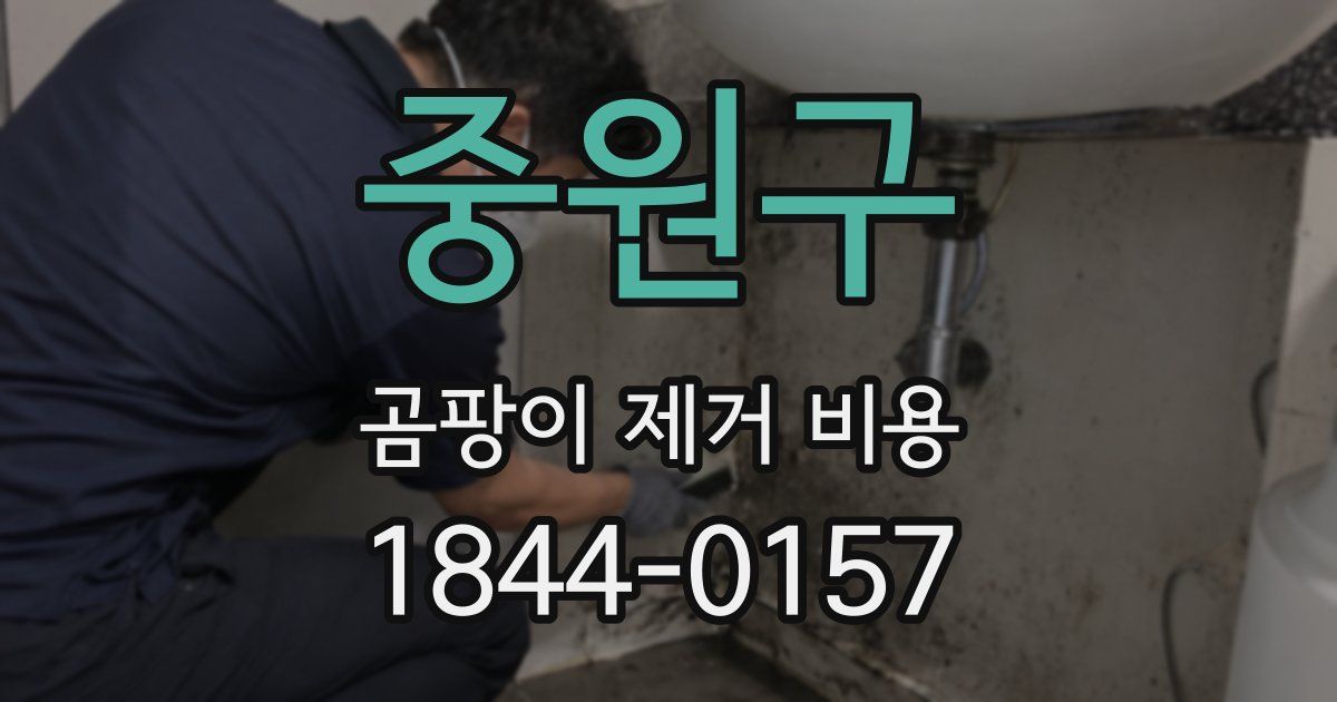 중원구 곰팡이 제거 비용