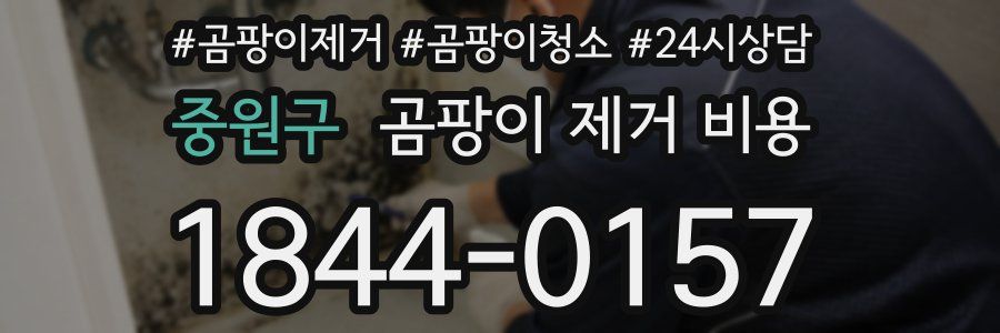 중원구 곰팡이 제거 비용