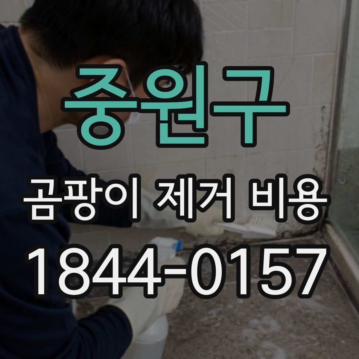 중원구 곰팡이 제거 비용