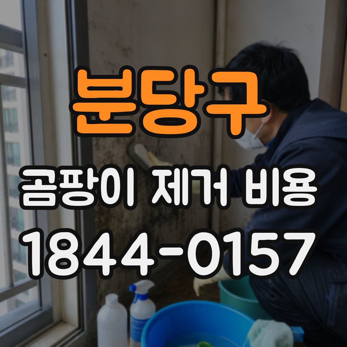 분당구 곰팡이 제거 비용