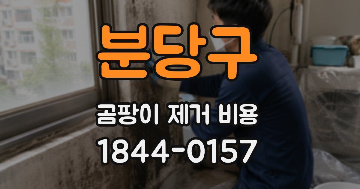 분당구 곰팡이 제거 비용