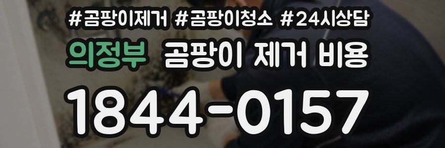 의정부 곰팡이 제거 비용