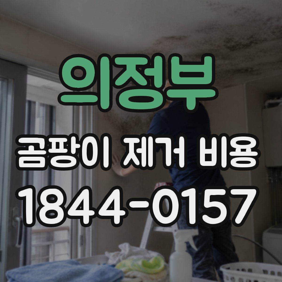 의정부 곰팡이 제거 비용
