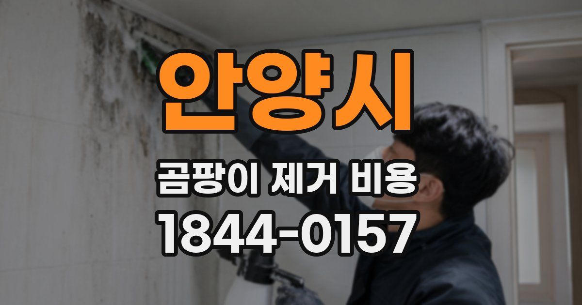 안양시 곰팡이 제거 비용
