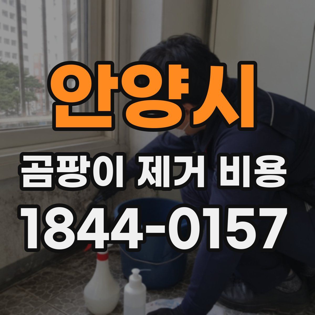 안양시 곰팡이 제거 비용