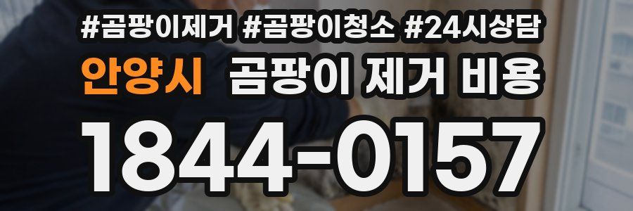 안양시 곰팡이 제거 비용