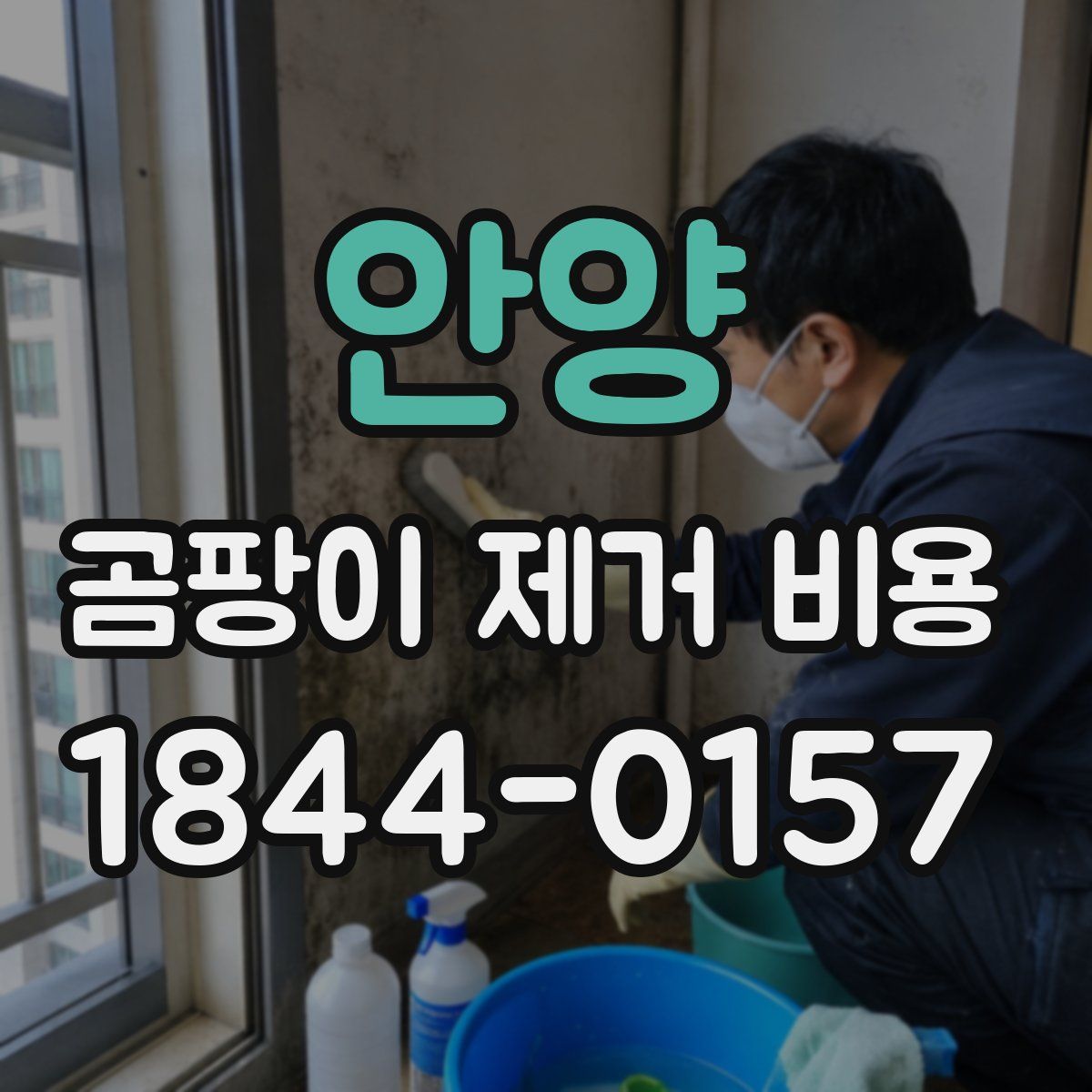 안양 곰팡이 제거 비용