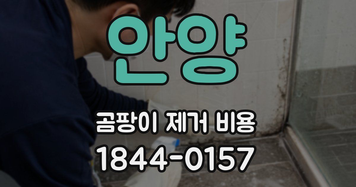 안양 곰팡이 제거 비용