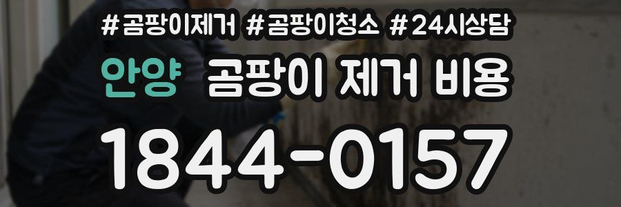 안양 곰팡이 제거 비용
