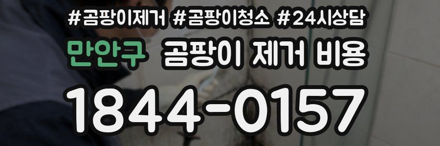 만안구 곰팡이 제거 비용