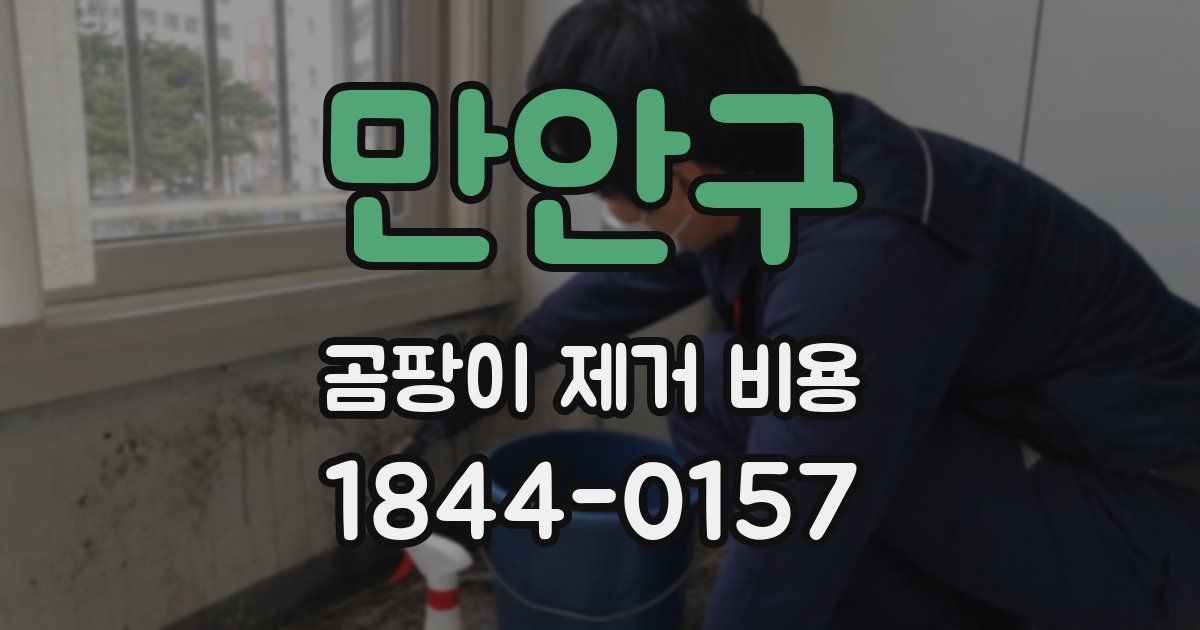 만안구 곰팡이 제거 비용