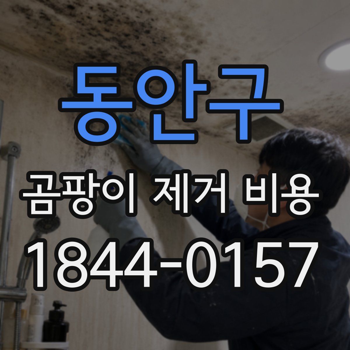 동안구 곰팡이 제거 비용