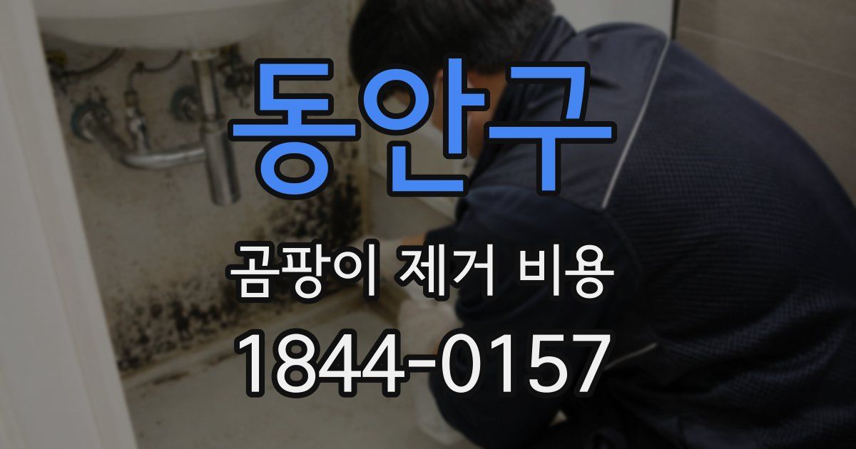 동안구 곰팡이 제거 비용