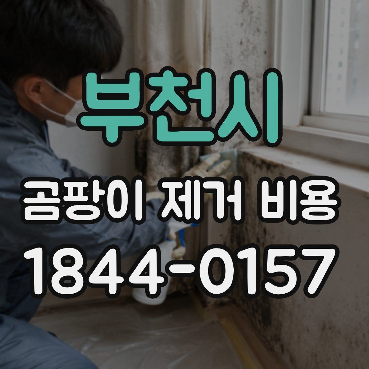 부천시 곰팡이 제거 비용 보험 반영 가능성을 먼저 확인해야 하는 이유
