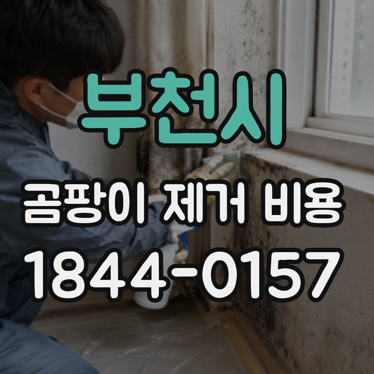 부천시 곰팡이 제거 비용