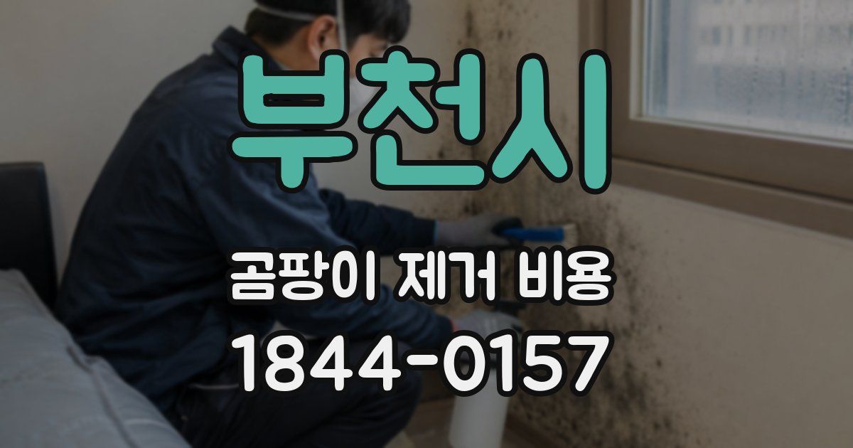 부천시 곰팡이 제거 비용