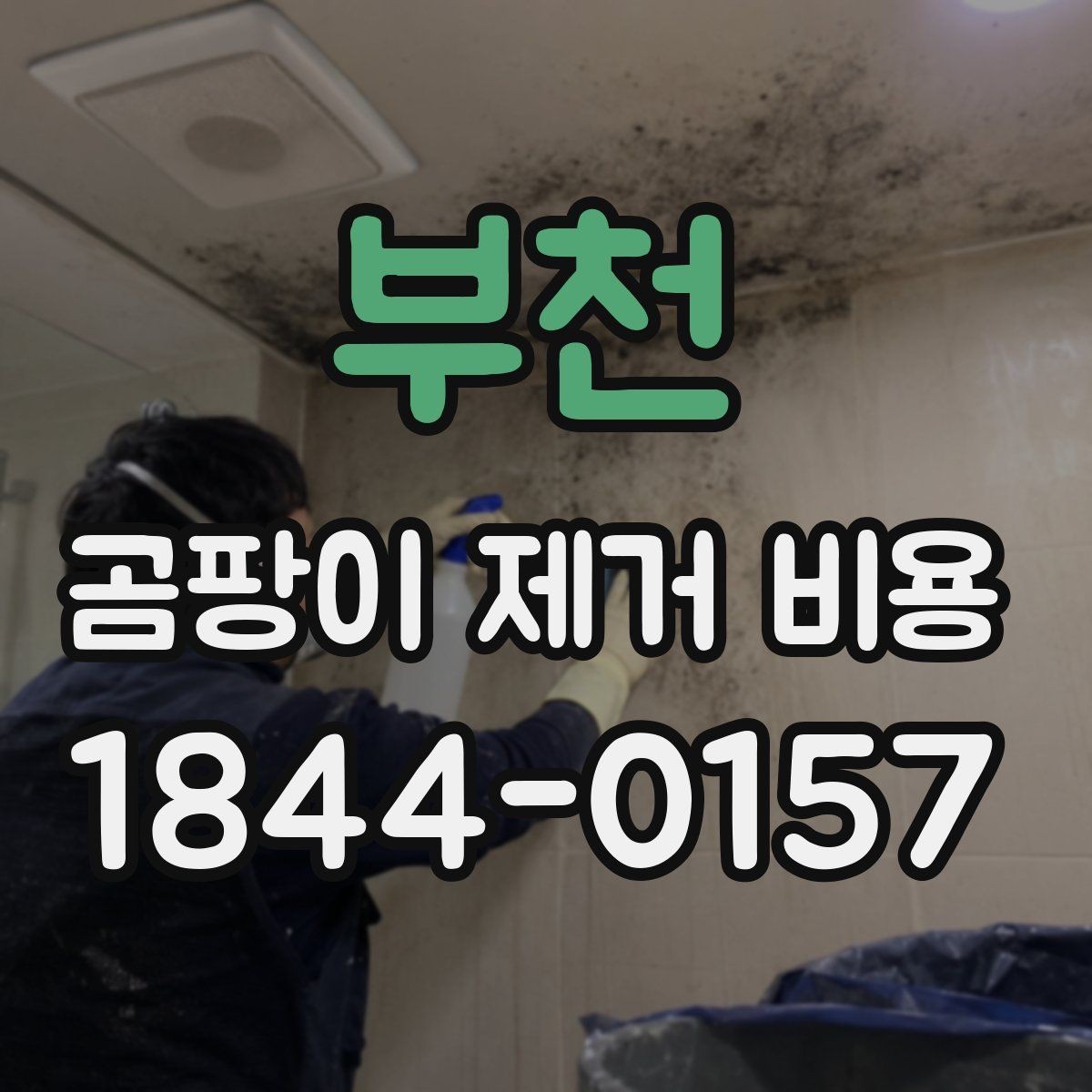 부천 곰팡이 제거 비용 전체 보수가 필요한 집의 조건