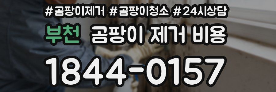 부천 곰팡이 제거 비용