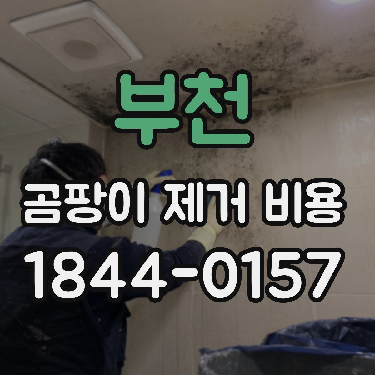 부천 곰팡이 제거 비용