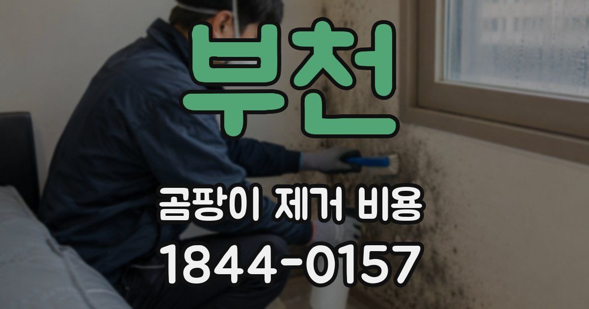 부천 곰팡이 제거 비용
