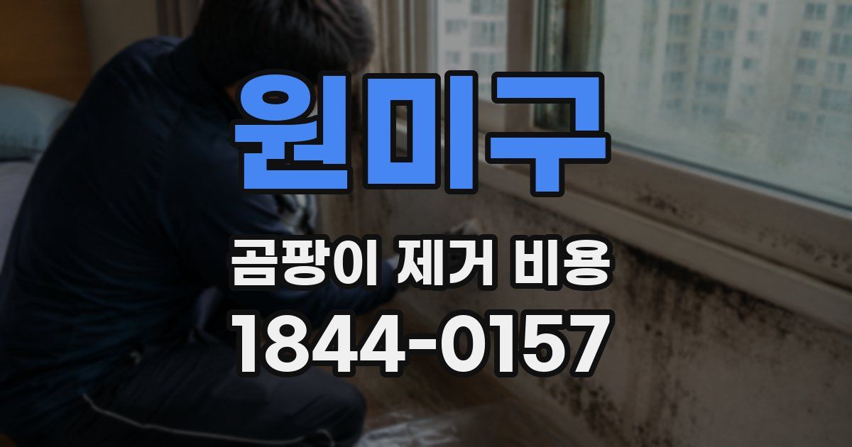 원미구 곰팡이 제거 비용