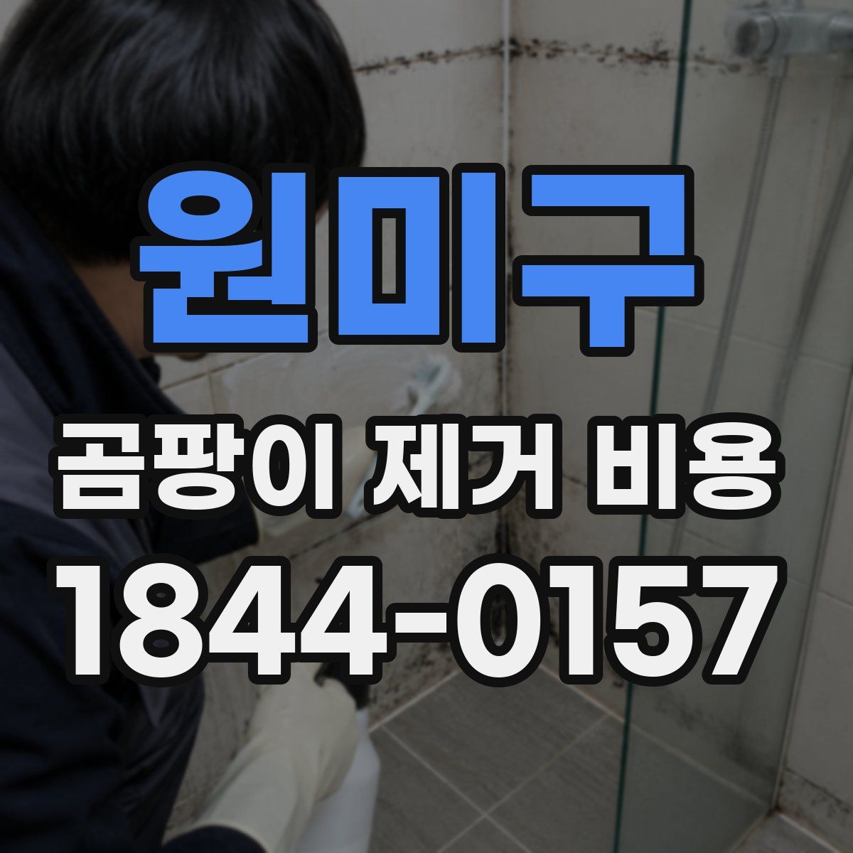 원미구 곰팡이 제거 비용