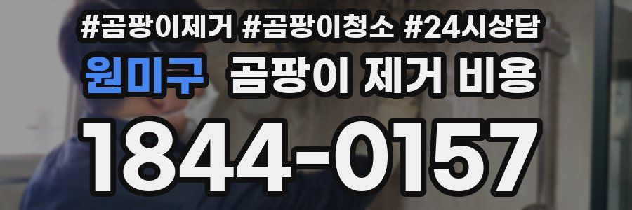 원미구 곰팡이 제거 비용