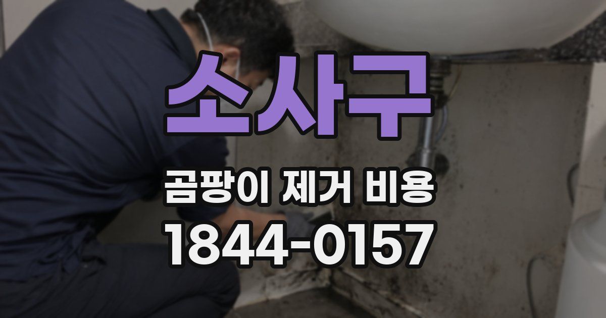 소사구 곰팡이 제거 비용