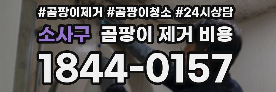 소사구 곰팡이 제거 비용