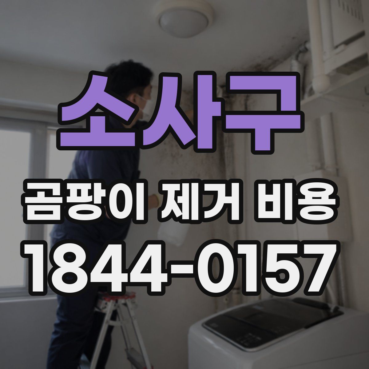 소사구 곰팡이 제거 비용