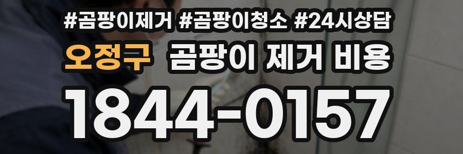 오정구 곰팡이 제거 비용