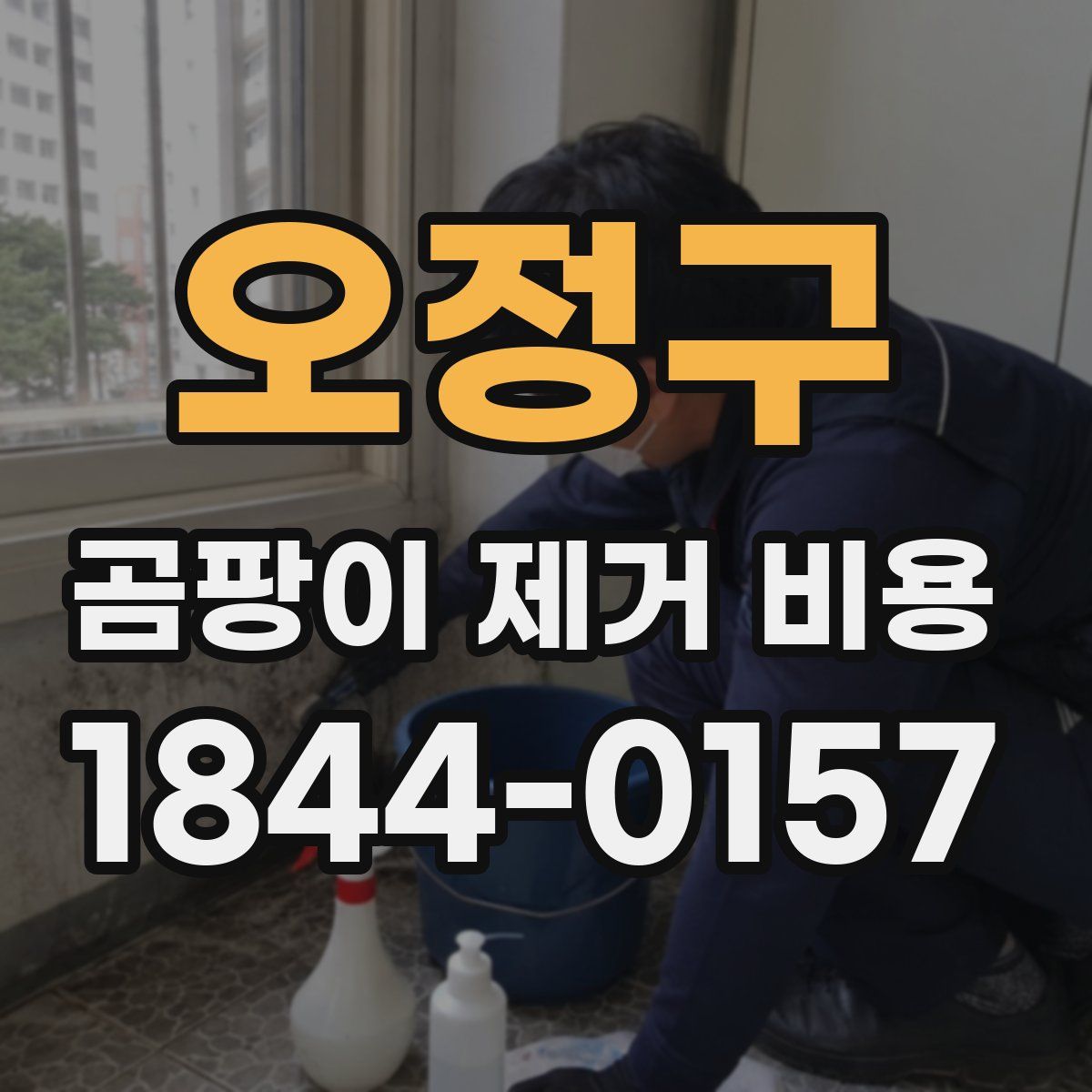 오정구 곰팡이 제거 비용