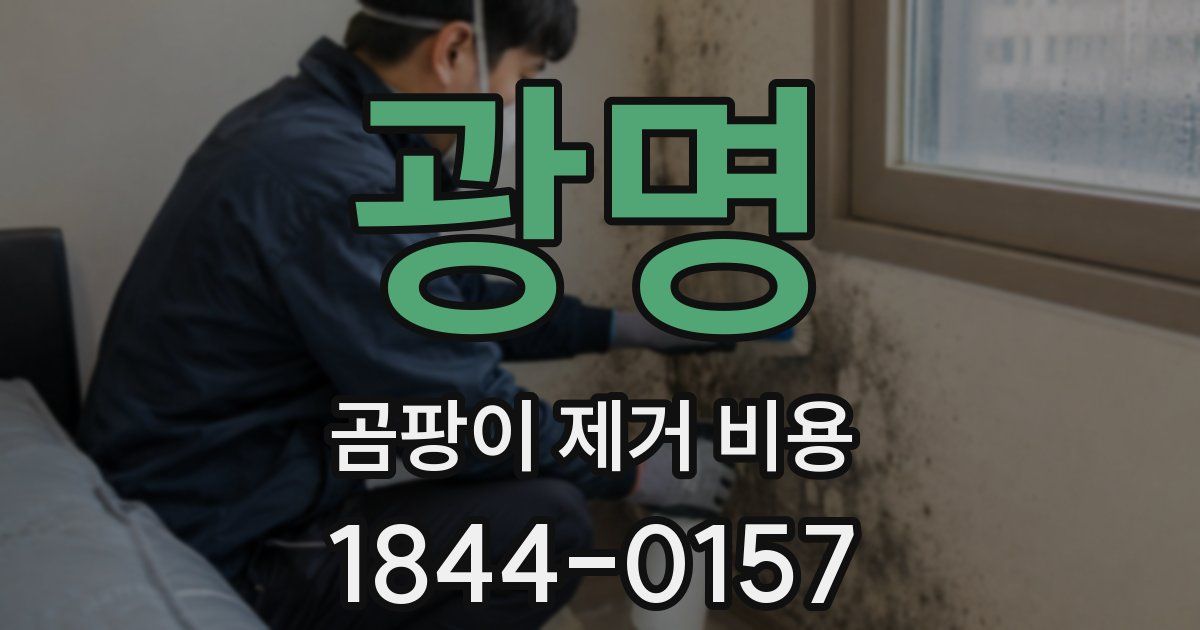 광명 곰팡이 제거 비용